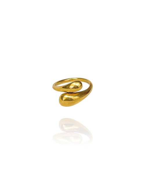 Anillo Double